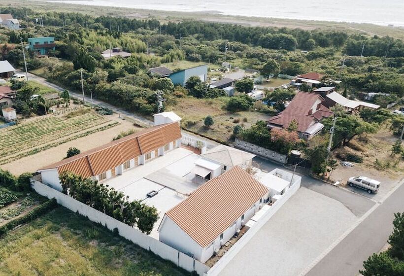 פנסיון Fish And Trips