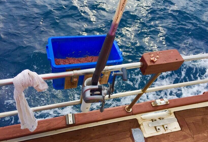 פנסיון Fish And Trips