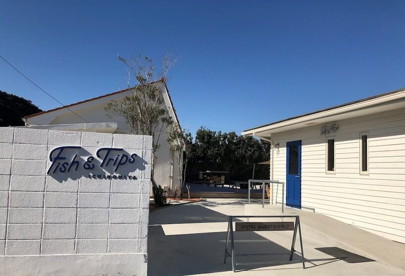 פנסיון Fish And Trips