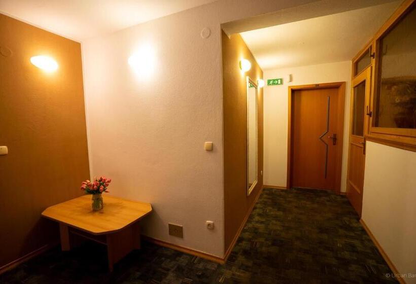 پانسیون Gostilna Logar