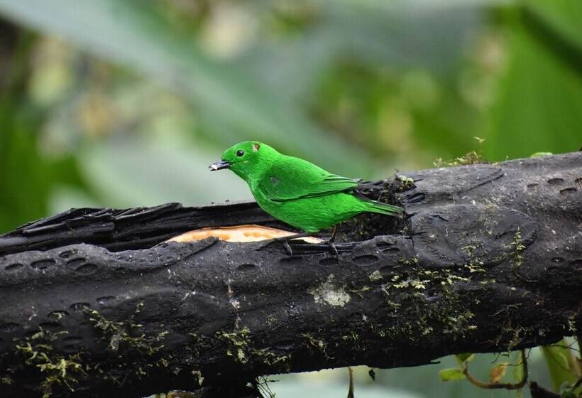 膳宿费 La Cañita De Pacto