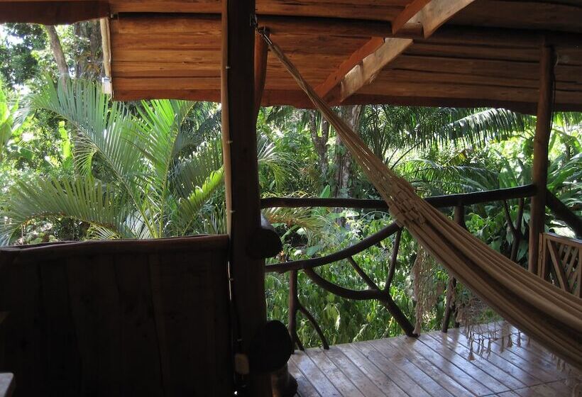 بنسيون La Dulcinea B&b