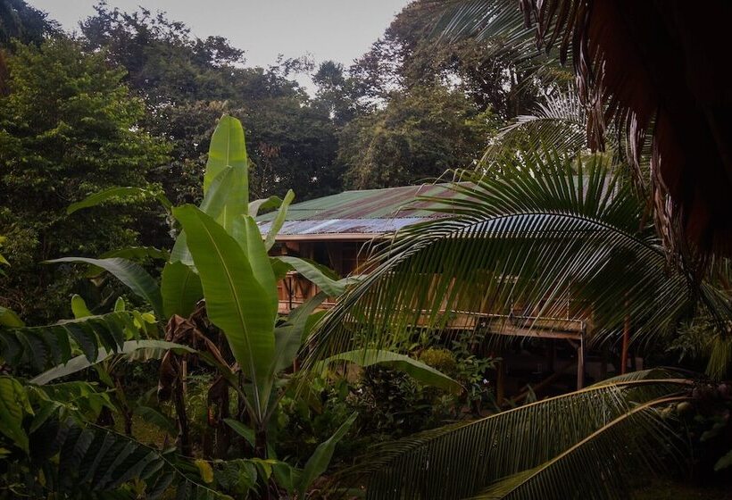 بنسيون La Dulcinea B&b