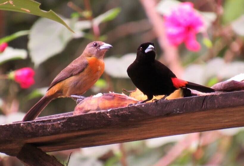 بنسيون La Dulcinea B&b