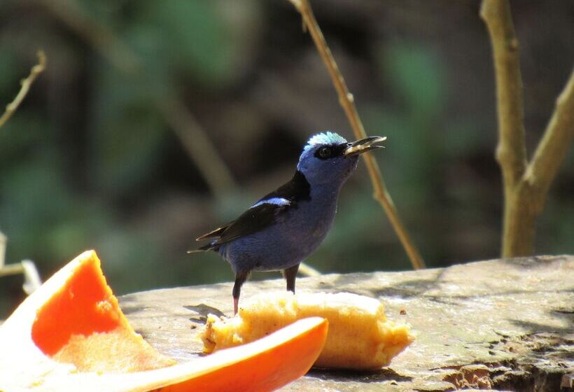 بنسيون La Dulcinea B&b