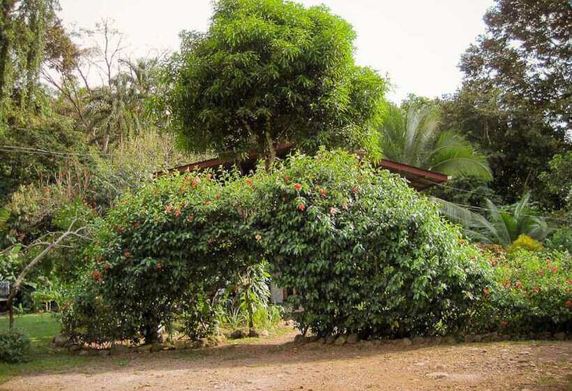 بنسيون La Dulcinea B&b