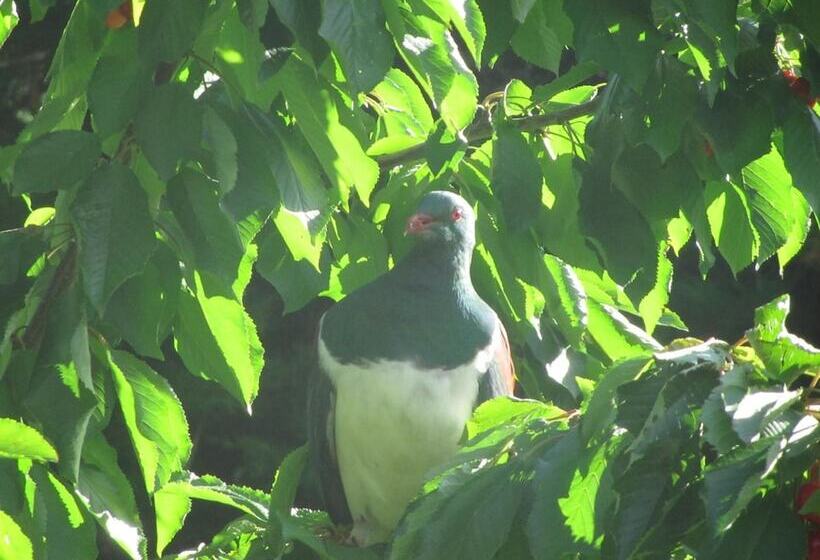 פנסיון Loch Sloy Farmstay