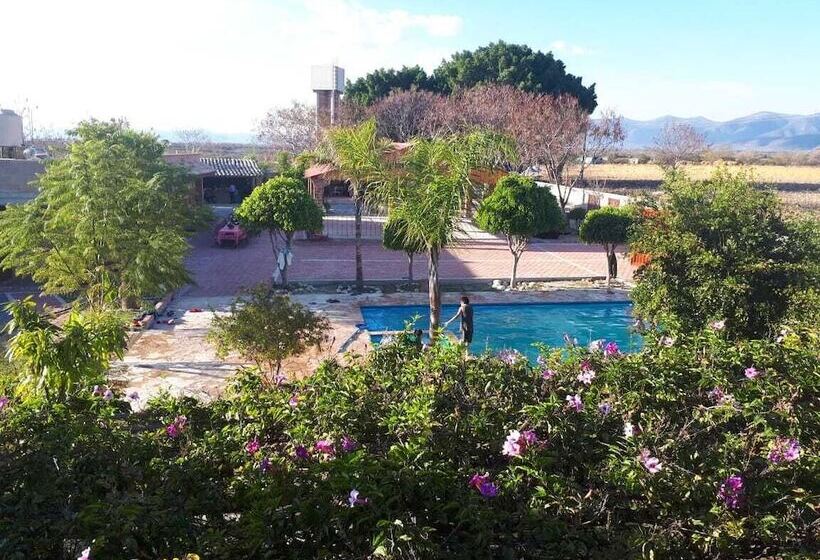 膳宿费 Posada Rancho Los Laureles