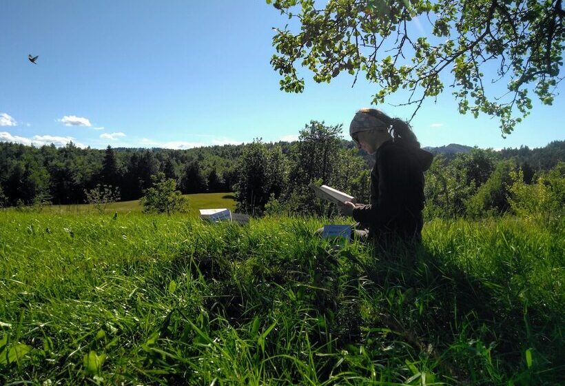 پانسیون Prenočišča Miklavčič