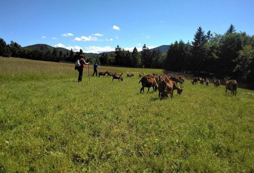 پانسیون Prenočišča Miklavčič
