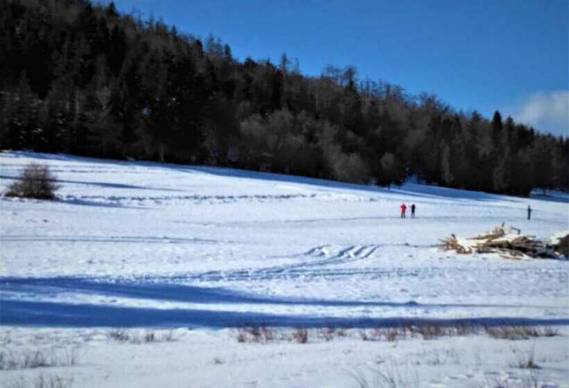 پانسیون Prenočišča Miklavčič