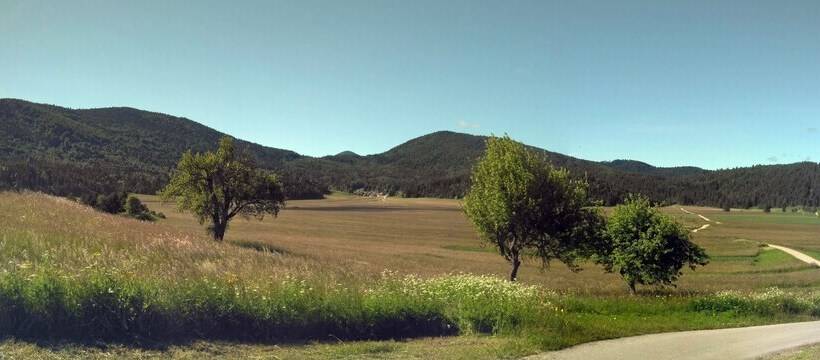 پانسیون Prenočišča Miklavčič