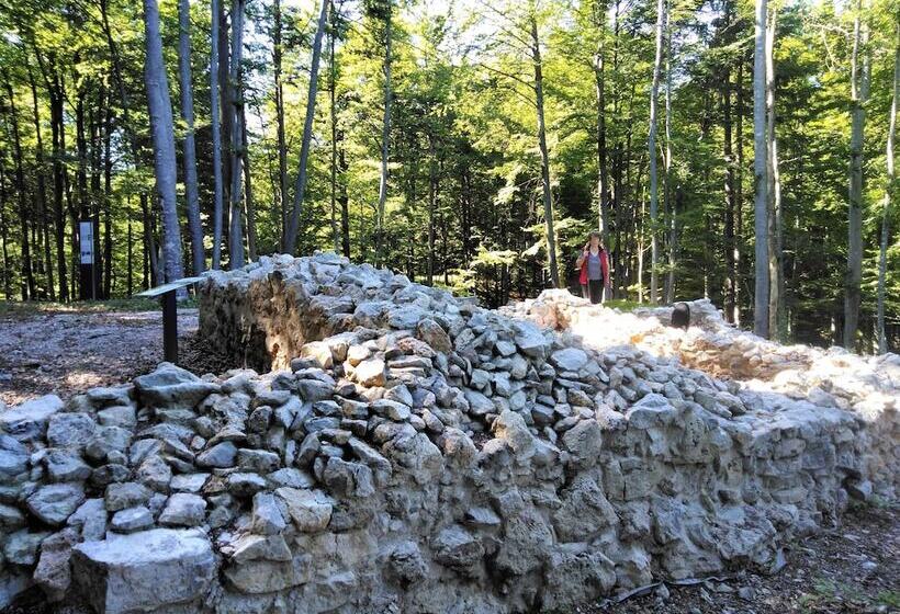 پانسیون Prenočišča Miklavčič