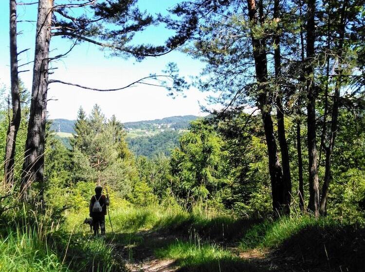 پانسیون Prenočišča Miklavčič