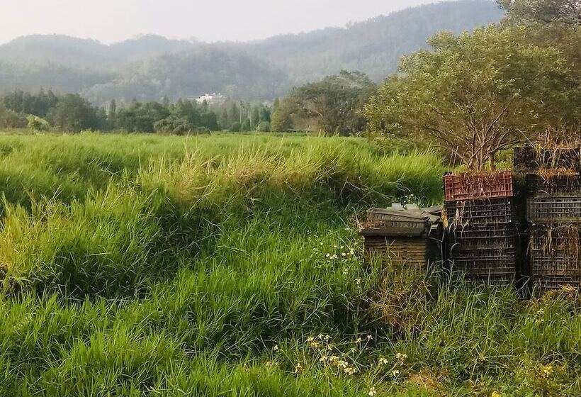 پانسیون 日月潭 讀好民宿 Read Nice House B&b