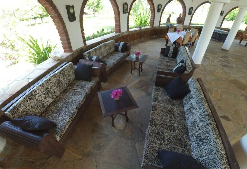 פנסיון The Vagabond Lodge