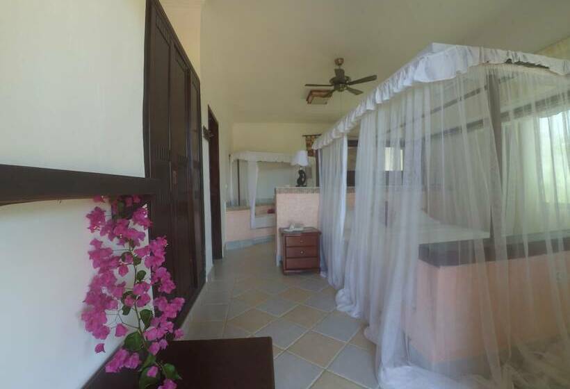 פנסיון The Vagabond Lodge