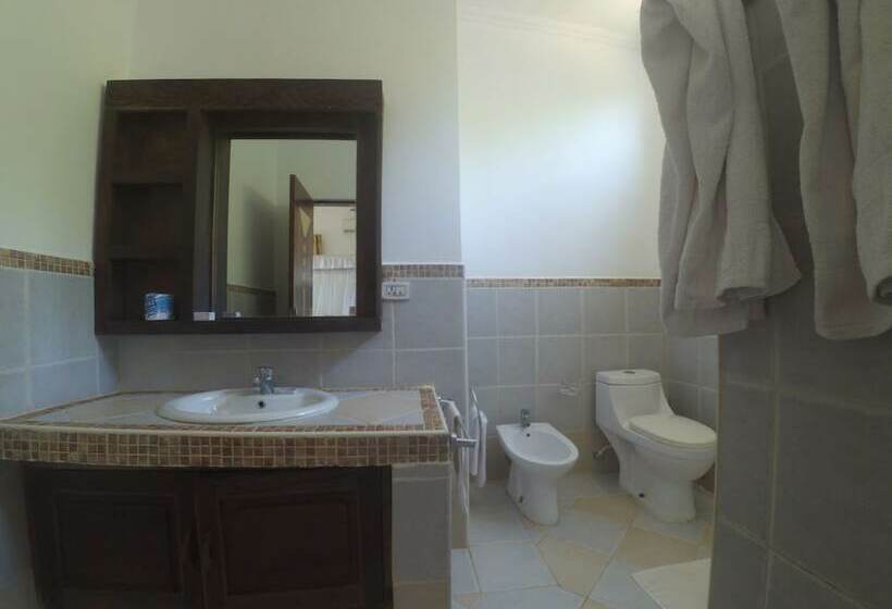 פנסיון The Vagabond Lodge