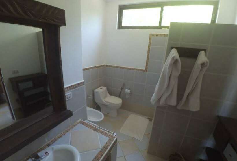 פנסיון The Vagabond Lodge