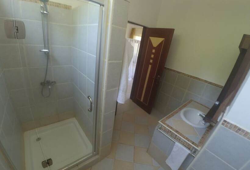 פנסיון The Vagabond Lodge