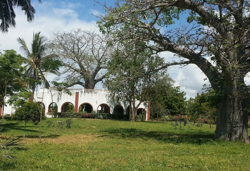 פנסיון The Vagabond Lodge
