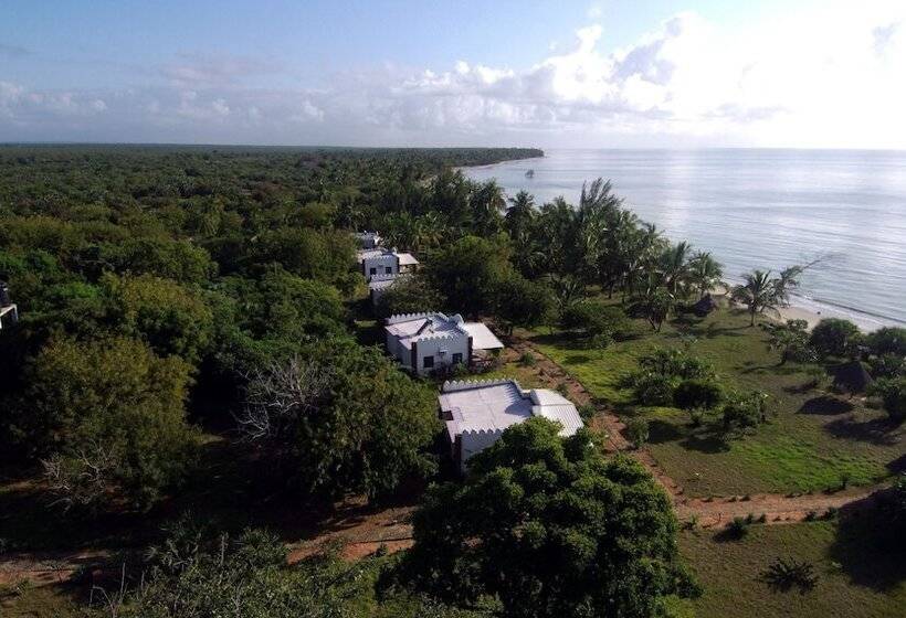 פנסיון The Vagabond Lodge