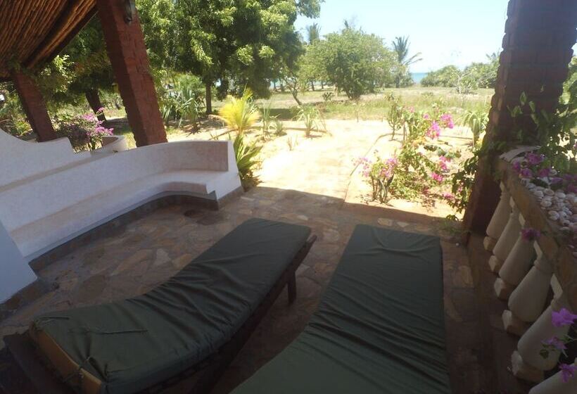 פנסיון The Vagabond Lodge