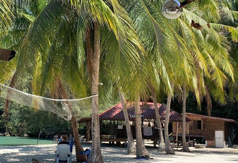 بنسيون Wild Pasir Panjang Villas