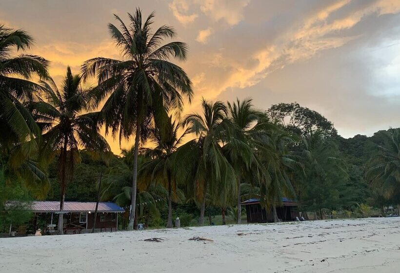 بنسيون Wild Pasir Panjang Villas