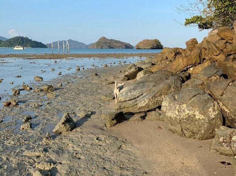 بنسيون Wild Pasir Panjang Villas