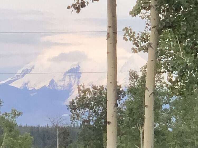 Sawinglogzz Log Cabin