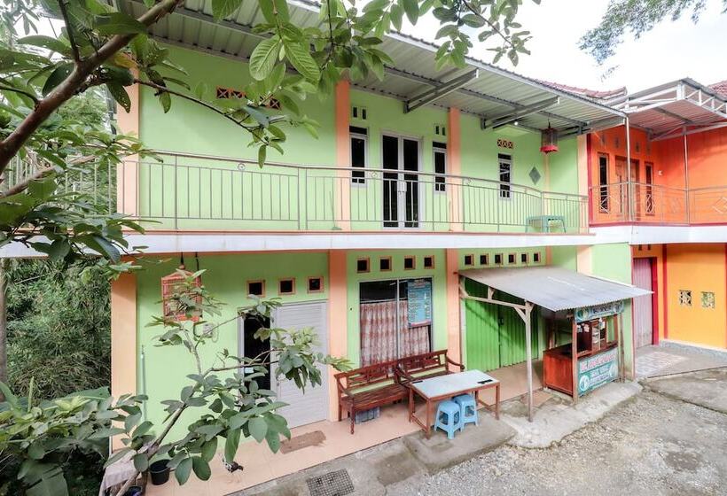 Serut 2 Homestay   Hostel