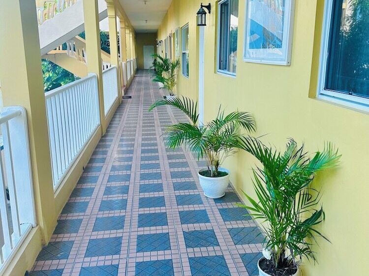 Spring Palm Estate