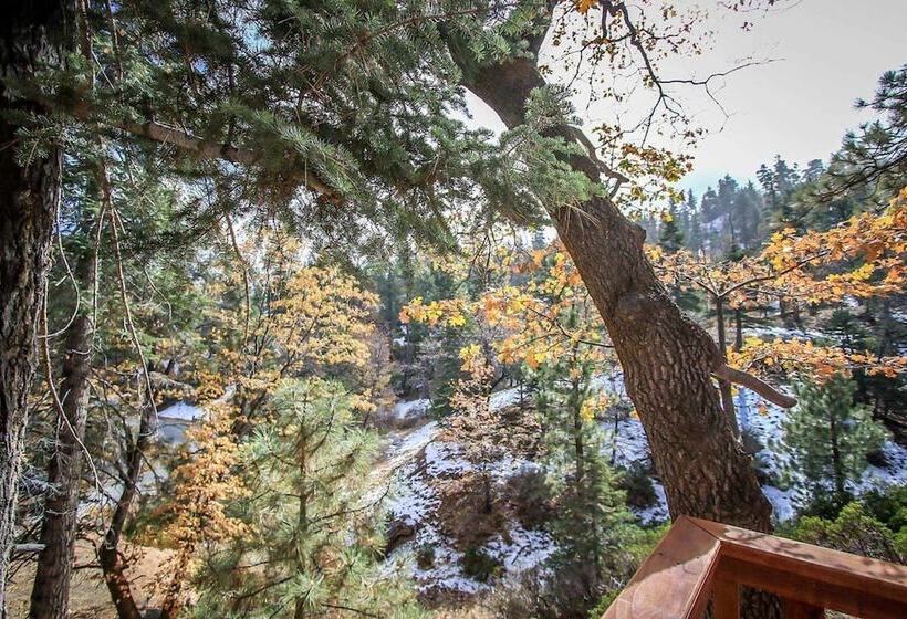 Summit Comfort 1571 By Big Bear Vacations