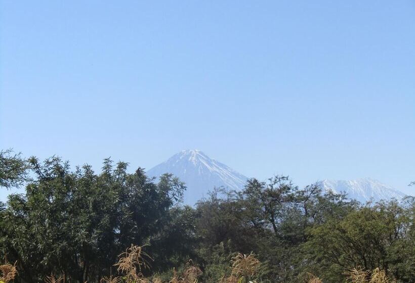 Tocopilla 19a   Hostel