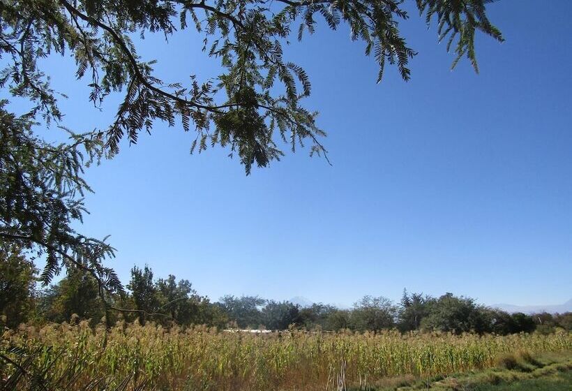 Tocopilla 19a   Hostel