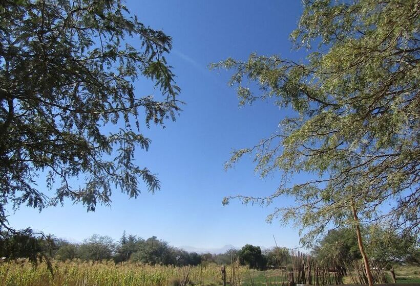 Tocopilla 19a   Hostel