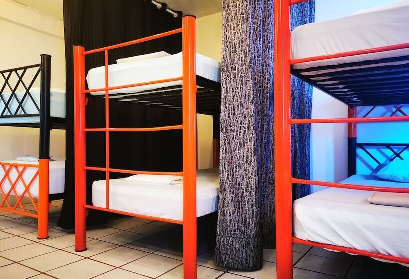 Vela Lounge & Hostel Pv   Caters To Male