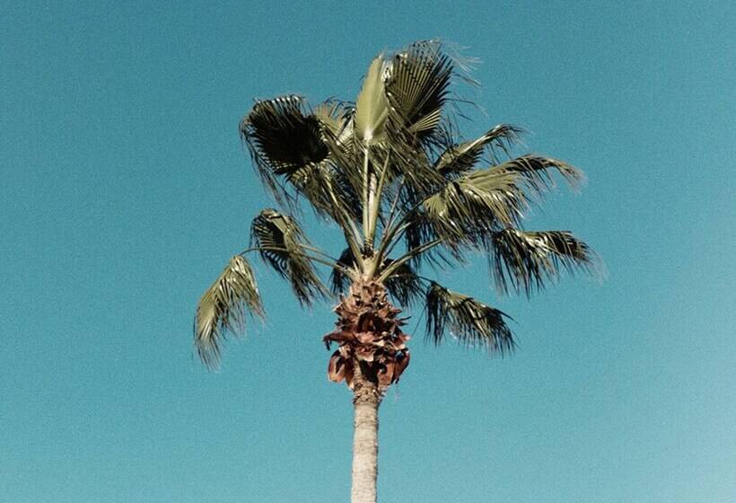 Villa In Champions Gate Resort 1013