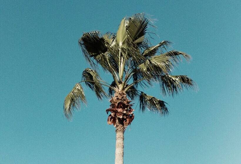 Villa In Reunion Resort & Spa 1346