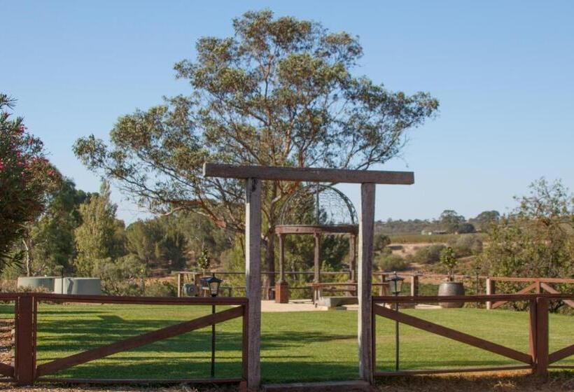 Angaston Vineyards Motel