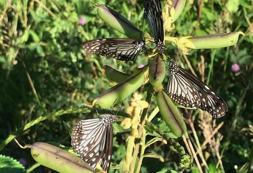 Back Of Beyond   Wellness Retreat