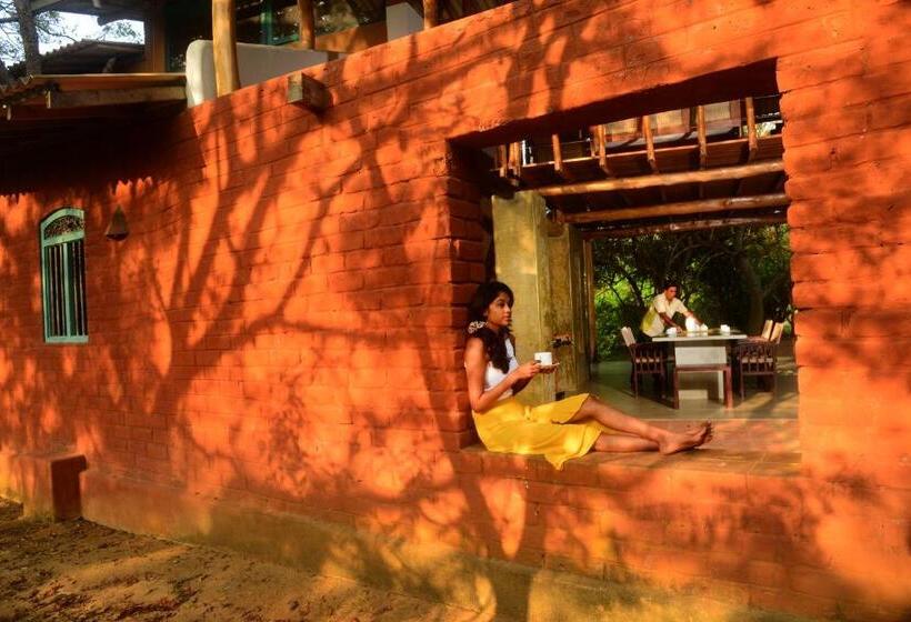 Back Of Beyond   Wellness Retreat