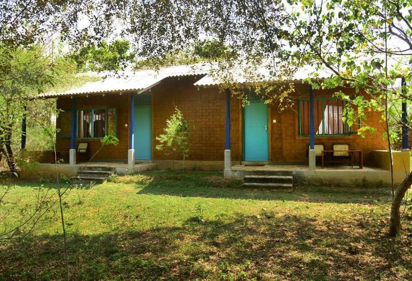 Back Of Beyond   Wellness Retreat