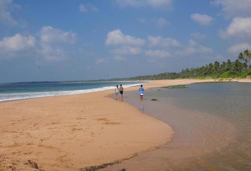 Back Of Beyond   Wellness Retreat