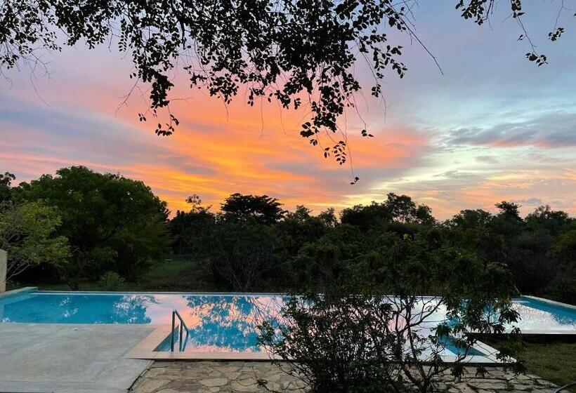 Back Of Beyond   Wellness Retreat