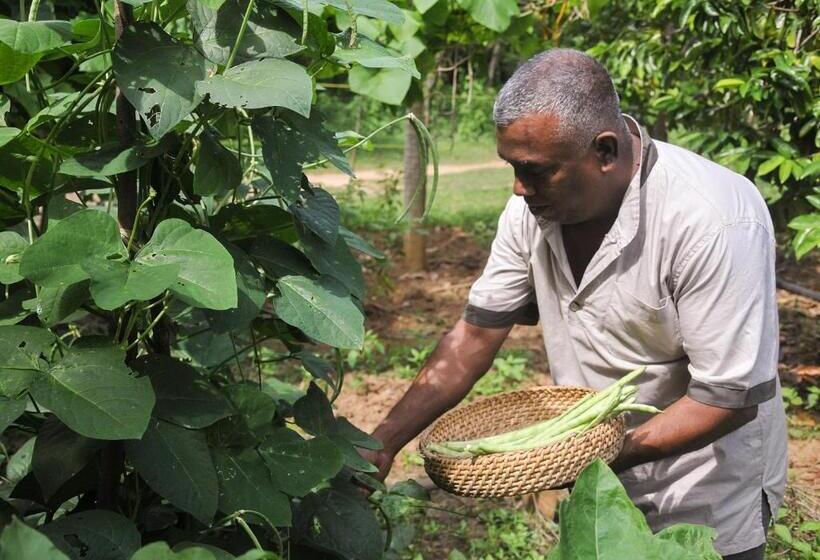 Back Of Beyond   Wellness Retreat