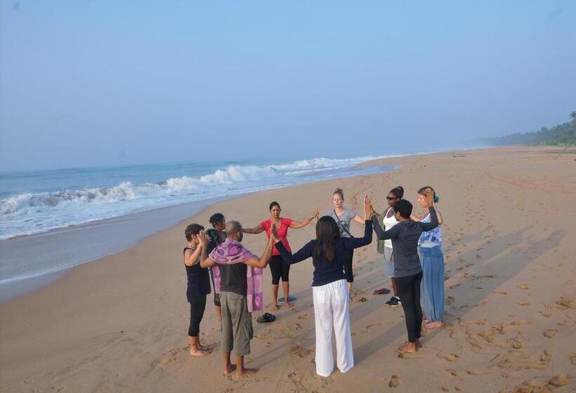 Back Of Beyond   Wellness Retreat