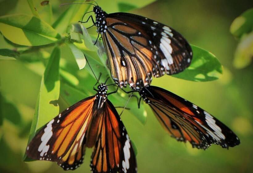 Back Of Beyond   Wellness Retreat