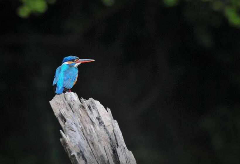 Back Of Beyond   Wellness Retreat